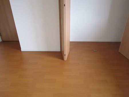 シャーメゾンサンオンズの収納|収納豊富です