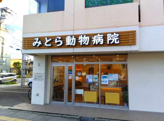 上甲子園４丁目　土地の周辺|みとら動物病院が約30ｍ圏内にございます。