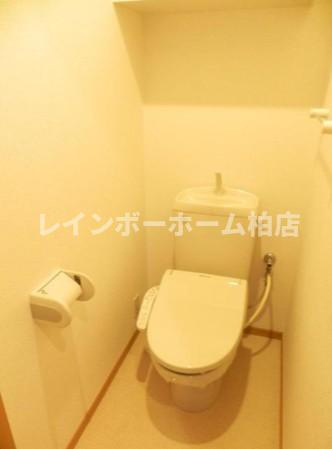 【仲介手数料：50％OFF】対象物件！のトイレ|落ち着いたトイレです