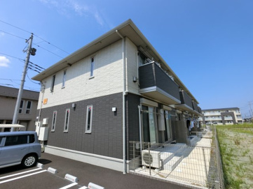 コモドの画像