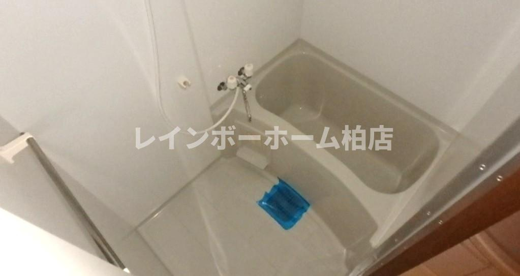 【仲介手数料：50％OFF】対象物件！の浴室|ゆったり過ごせるお風呂です