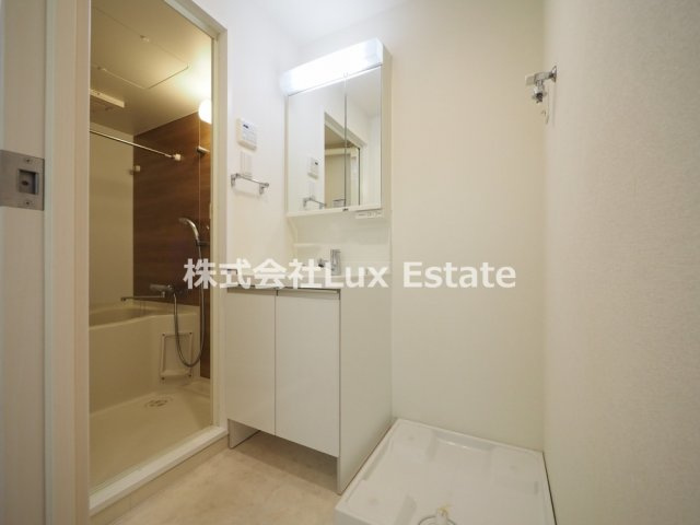 セイル淀屋橋の洗面所