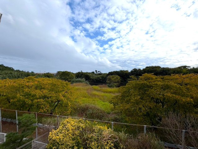 大磯町国府本郷　中古戸建　内装リフォーム　の展望