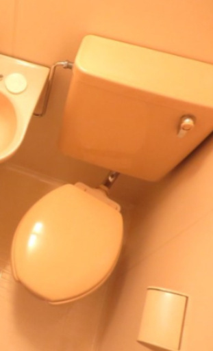 サンワードヨシザワのトイレ