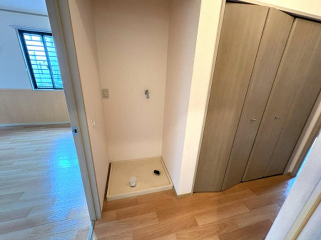 ヴェルドミールのその他