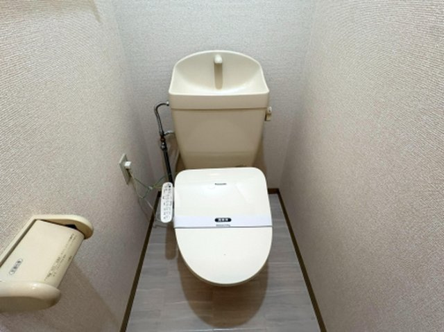 ヴェルドミールのトイレ