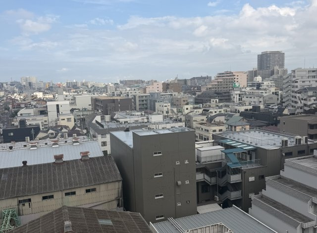 多摩川フラワーマンションの展望