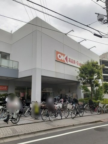 ブリーズ多摩川の周辺|ＯＫまで900m