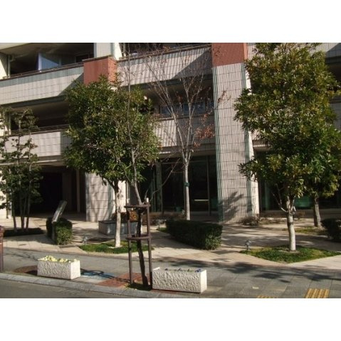 岐阜市住ノ江町１丁目の賃貸マンションのその他
