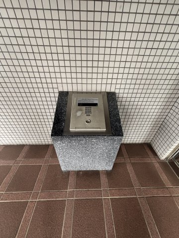 マノアール大橋のセキュリティ