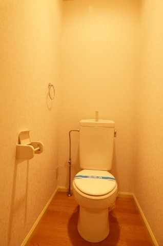 グレイスＣＨＩＥのトイレ|トイレも気になるポイント