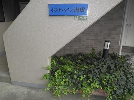 【その他】 | ポンドパイン瀬田