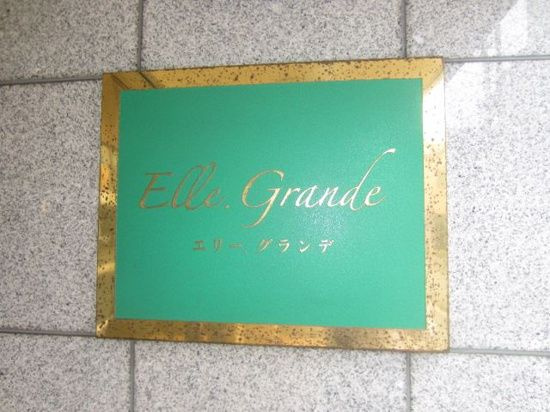 ＥＬＬＥ　ＧＲＡＮＤＥのその他