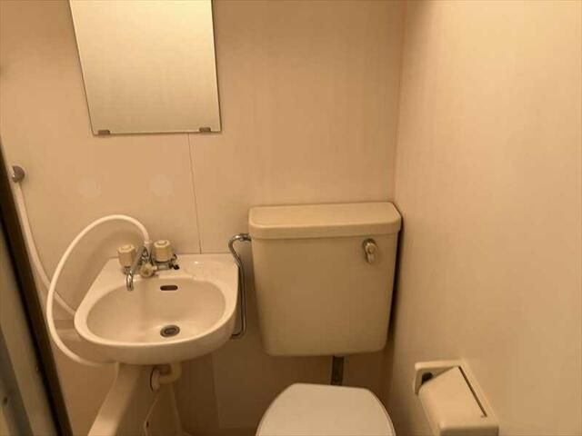 グリーンプラザ東あずまの洗面所