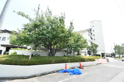 【その他】 | 曽根グリーンハイツ | こちらの物件近くの教育施設や、スーパー・公園など、物件周辺の住環境を併せてご案内させて頂きます。ぜひ、現地での暮らしをイメージなさって下さい！