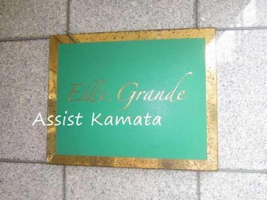 ＥＬＬＥ　ＧＲＡＮＤＥのその他