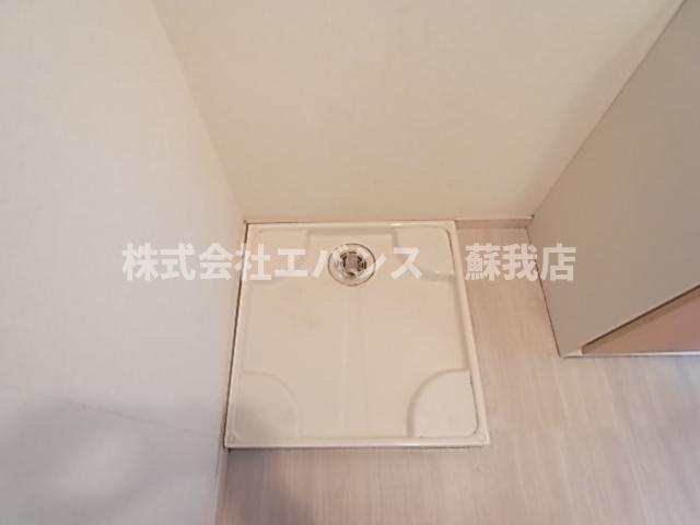  | アイビス