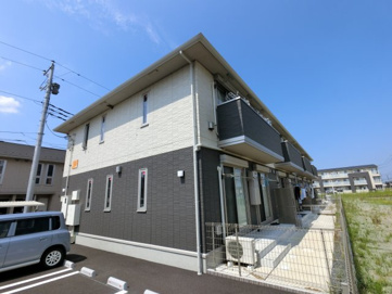 コモドの画像