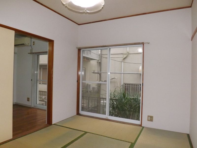 ドリームタケの展望