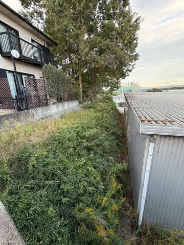 さつき台１番町　売地の展望