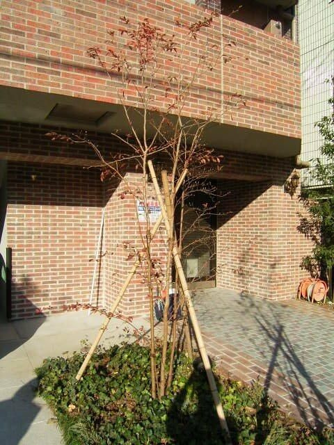 フェニックス本郷東大前のエントランス