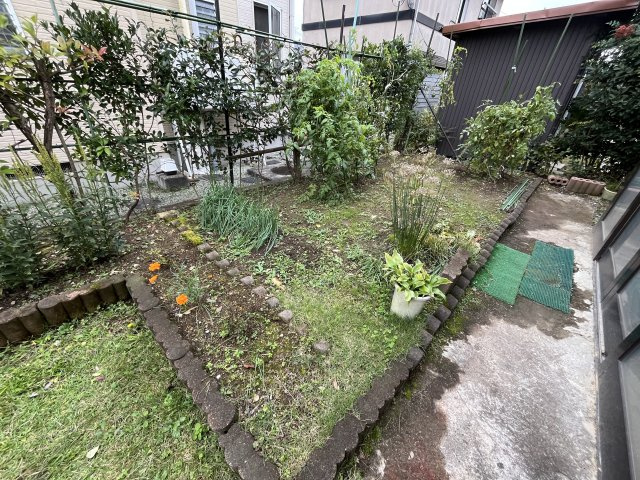 東村山郡中山町いずみ93の庭|10/30撮影
