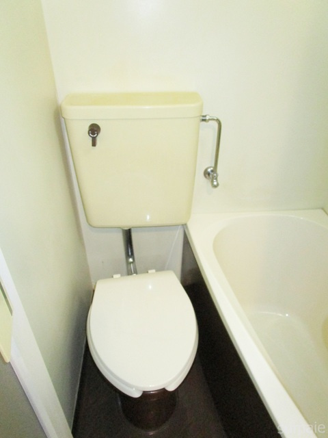セドルハイム王子のトイレ|トイレです☆