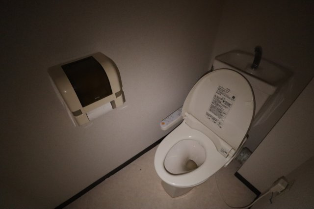 セイハ二俣のトイレ|落ち着いたトイレです