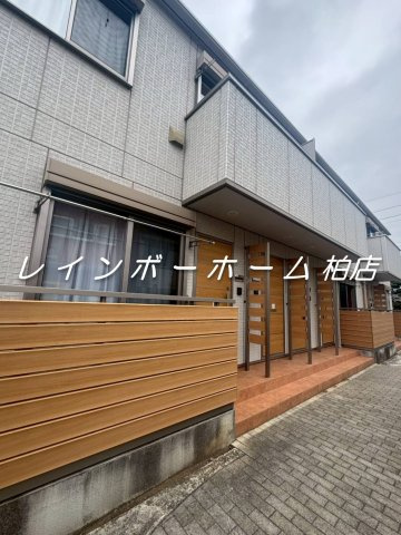 フェリシティ【仲介手数料：50％OFF】対象物件！のエントランス|毎日通るエントランスはこのようになっています