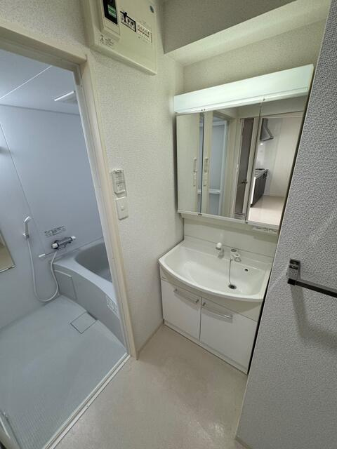 菊池郡菊陽町大字原水の賃貸マンションの洗面所