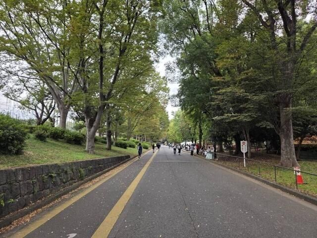 テラス八雲Ｂ号室の駐車場