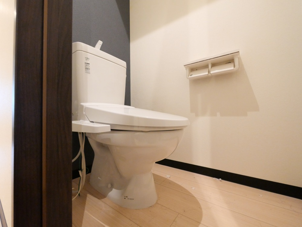 大阪市東住吉区杭全２丁目の賃貸マンションのトイレ