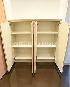 ビオール大阪大手前タワーの収納