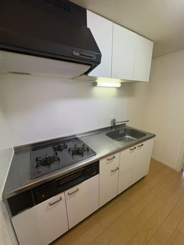 サニータウン武蔵野　Eのキッチン