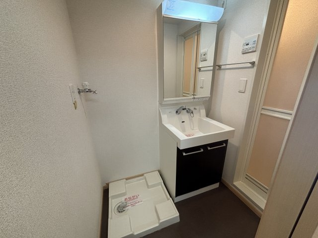 プラシード東難波の洗面所