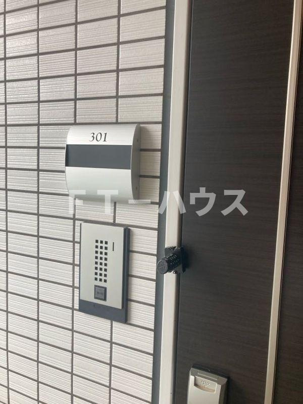 LEO FIOREGALO 印内のその他