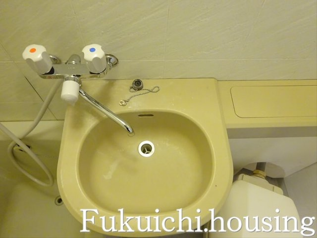 リビエール宮の坂の洗面所
