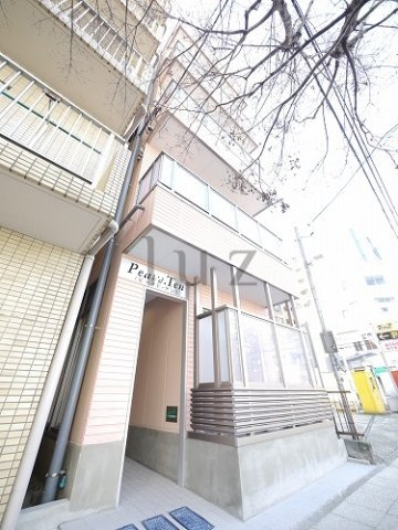ピークドテンの外観