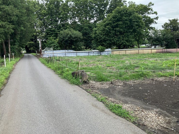 板戸町土地の前面道路含む現地写真