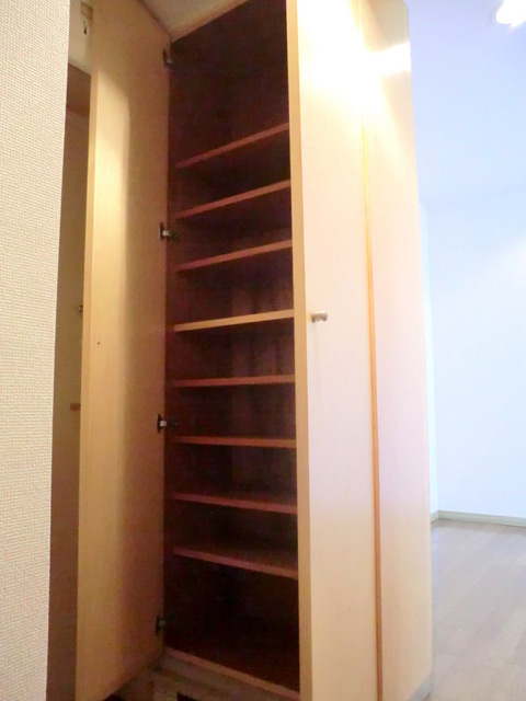 世田谷区下馬３丁目の賃貸マンションの収納|★シューズＢＯＸ★