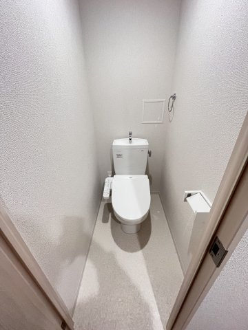 大阪市城東区中浜３丁目の賃貸マンションのトイレ