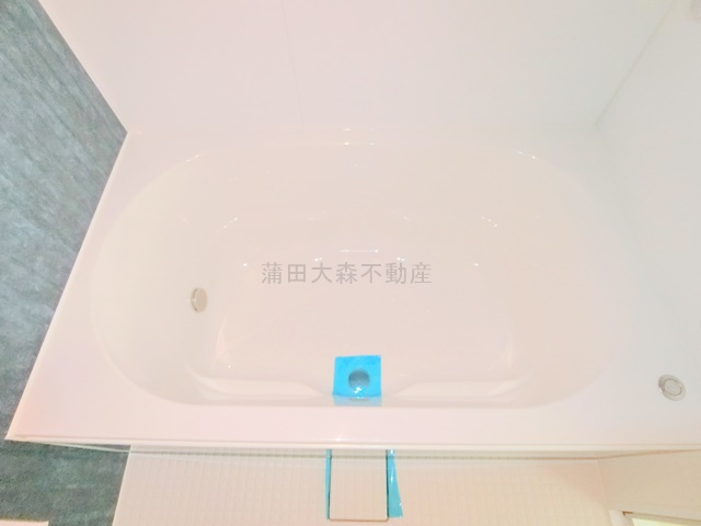アクサス大森山王の浴室