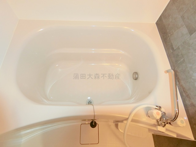 ソレイユ蒲田の浴室