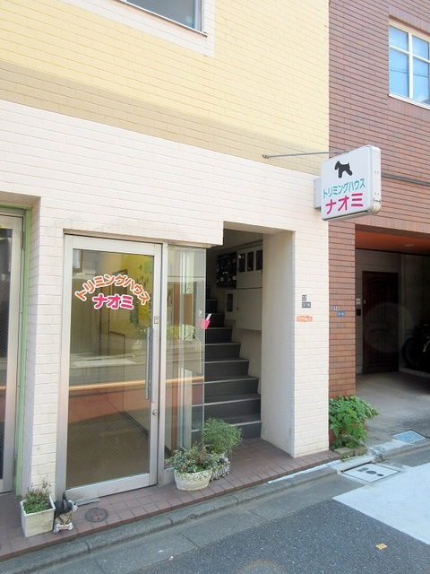 Green Tree Wのその他|ペットサロンナオミ