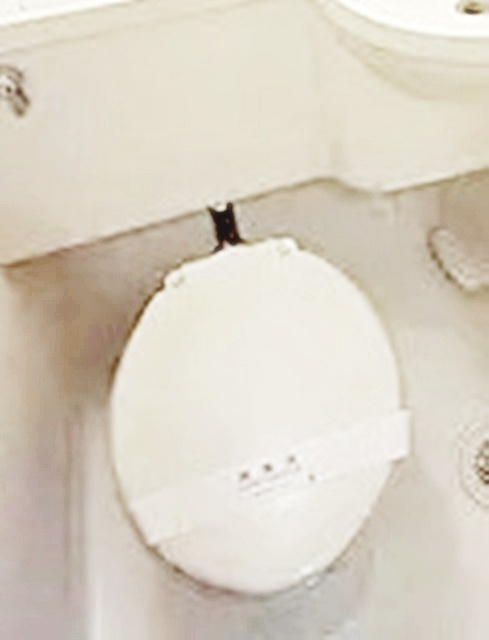 ビバリーホームズ越中島のトイレ|トイレです。