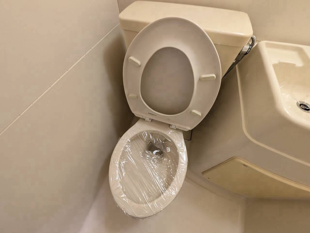 サンパレス勝田台3番館のトイレ|落ち着いた色調のトイレです