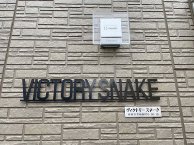 【その他】 | ビクトリースネーク