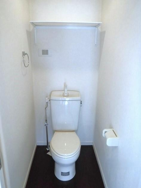 ブラックパールのトイレ|コンパクトで使いやすいトイレです