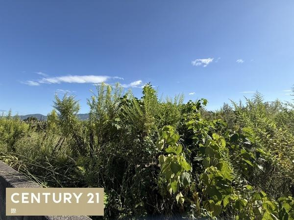 紀の川市猪垣　土地のその他