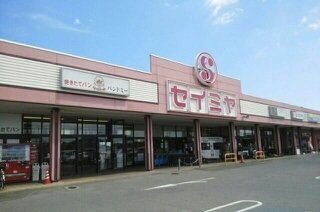 シェスタの周辺|セイミヤ 成田芝山店まで750m
